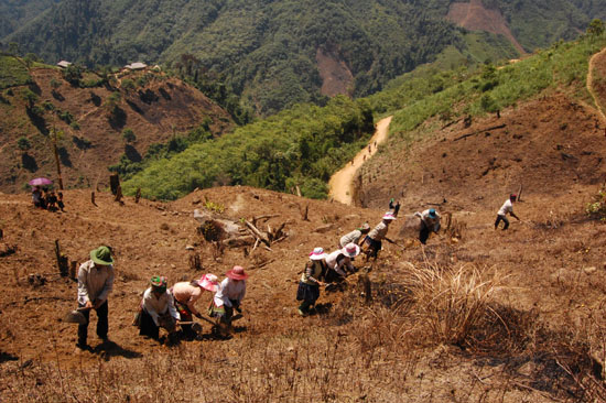  'Chông chênh' công tác giảm nghèo bền vững ảnh 1